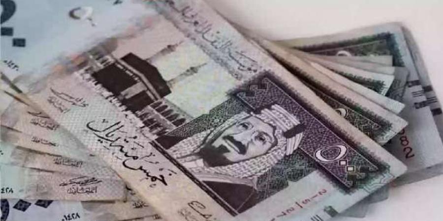 سعر الريال السعودي مقابل الجنيه المصري اليوم الأحد 19-1-2025 - الخليج الان