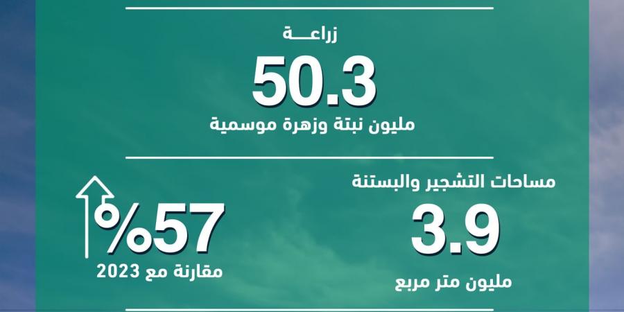 "بلدية دبي" تعزّز الإطلالة الحضارية للإمارة بزراعة 216.500 شجرة خلال 2024 - الخليج الان