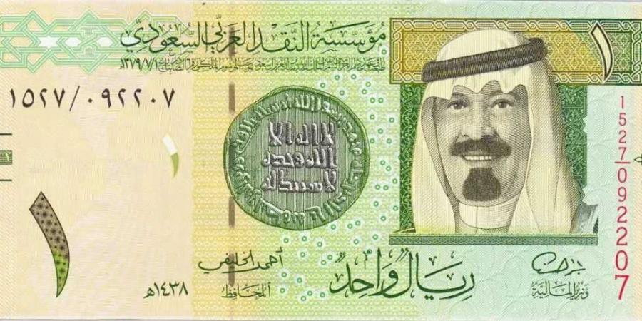 100 ريال تعمل كم جنيه؟ اعرف سعر الريال السعودي مقابل الجنيه المصري الثلاثاء 28 يناير 2025 - الخليج الان