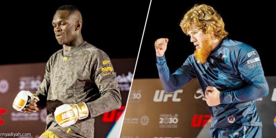 قبل نزالات UFC.. إديسانيا يتحدى.. ومجمدوف جاهز - الخليج الان