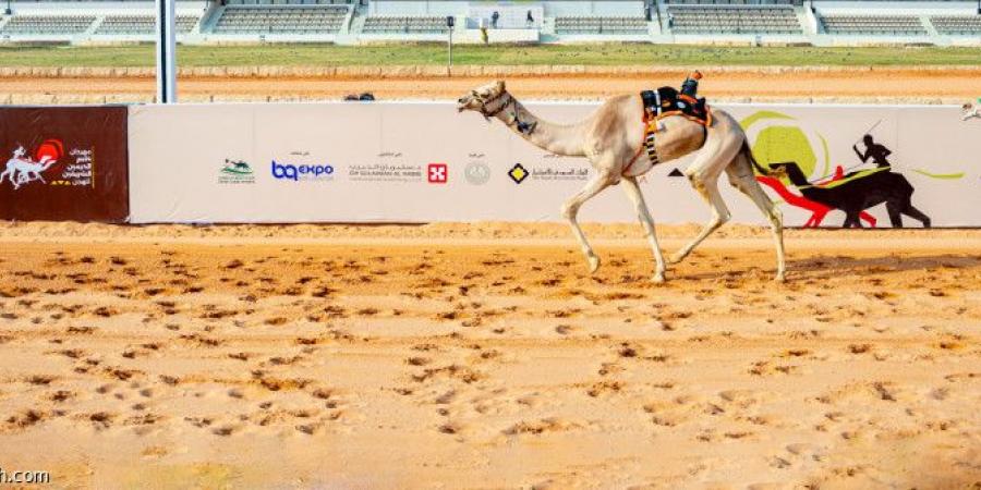 مهرجان الهجن.. ابن حثلين يتزعم الشوط الرئيس - الخليج الان