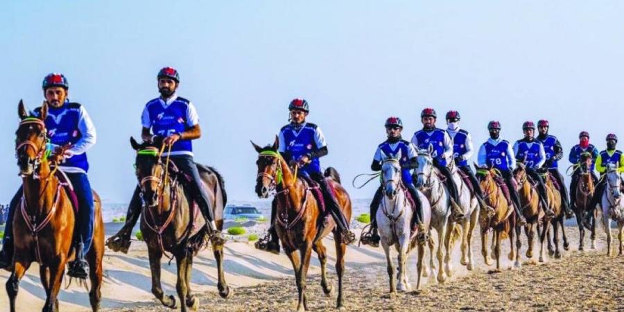 «الإسطبلات الخاصة» يدشن مهرجان سلطان بن زايد للقدرة - الخليج الان