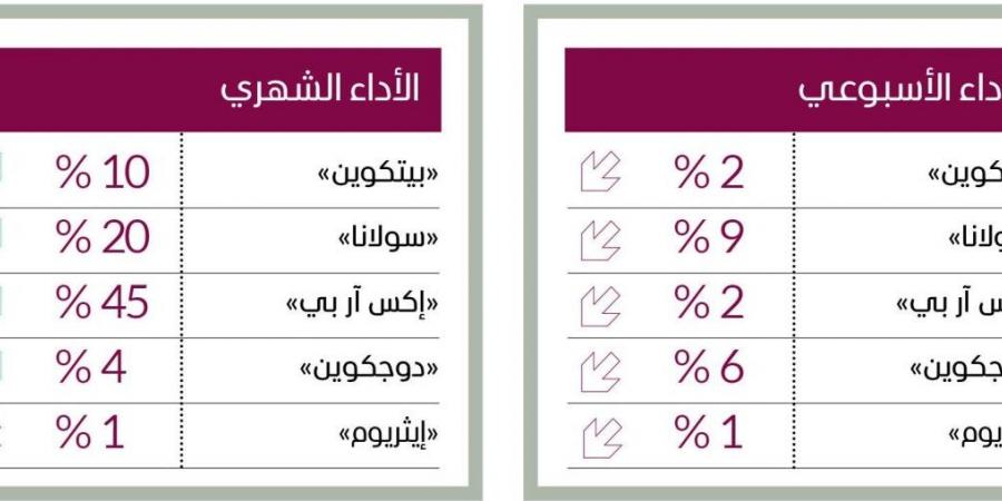 العملات الرقمية.. مكاسب شهرية تمحو أثر التراجع الأسبوعي - الخليج الان