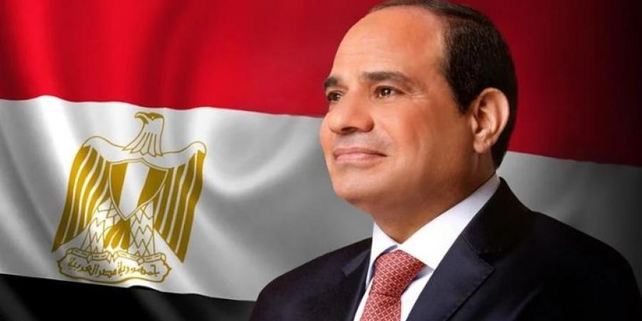 الرئيس السيسي يتلقى اتصالاً هاتفياً من رئيس جمهورية غينيا بيساو - الخليج الان