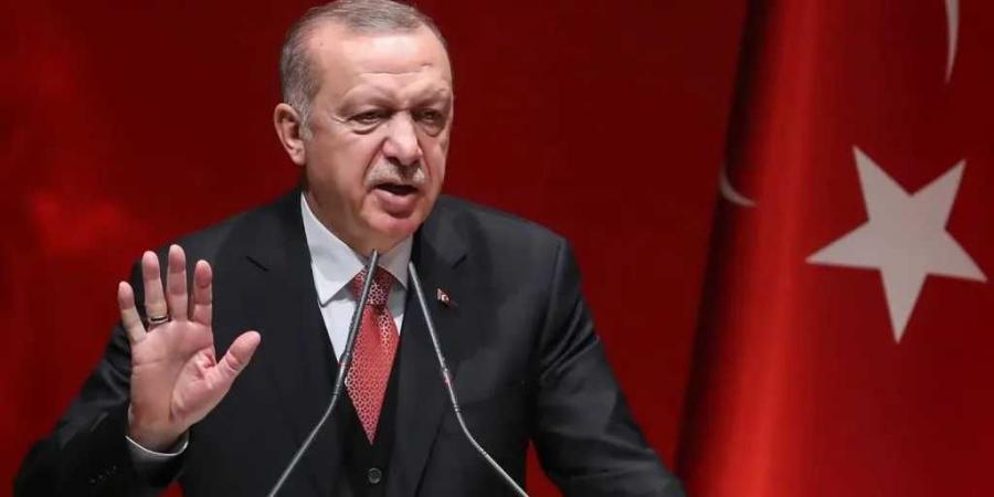 الرئيس أردوغان: لا يمكن دفع الشعب الفلسطيني نحو نكبة تهجير جديدة - الخليج الان