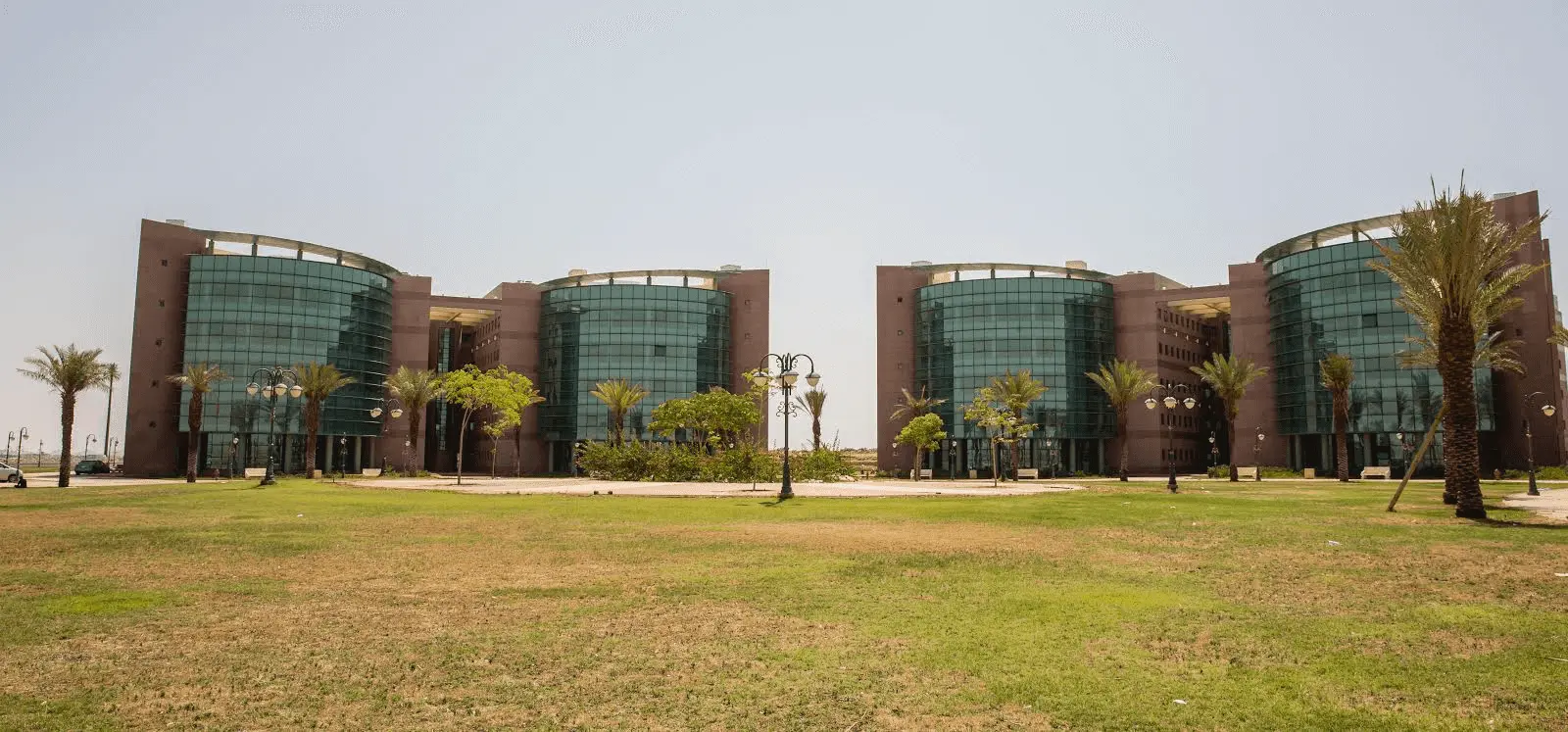 جامعة تبوك تعلن عن وظائف أكاديمية شاغرة في مختلف التخصصات