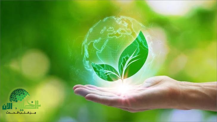 التحول الأخضر في مصر .. الغردقة الخضراء ركيزة الاستدامة(1)