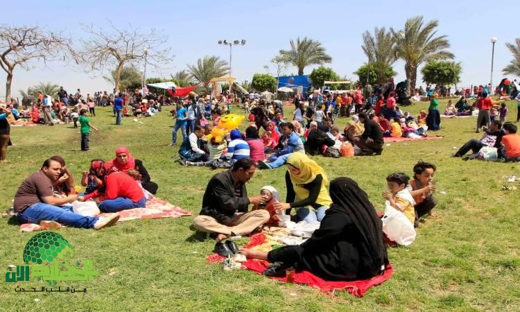شم النسيم 2025.. موعد العطلة الرسمية وأبرز مظاهر الاحتفال بالعيد الفرعوني العريق