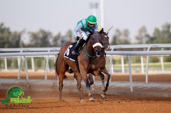 نادي سباقات الخيل في الطائف يعلن عن وظيفة حارس أمن بعقد تعاوني لعام 1446