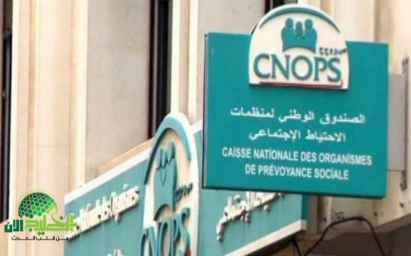 انطلاق التسجيل في موقع كنوبس الجديد 2025.. دليل شامل للاستفادة من الخدمات الصحية الرقمية