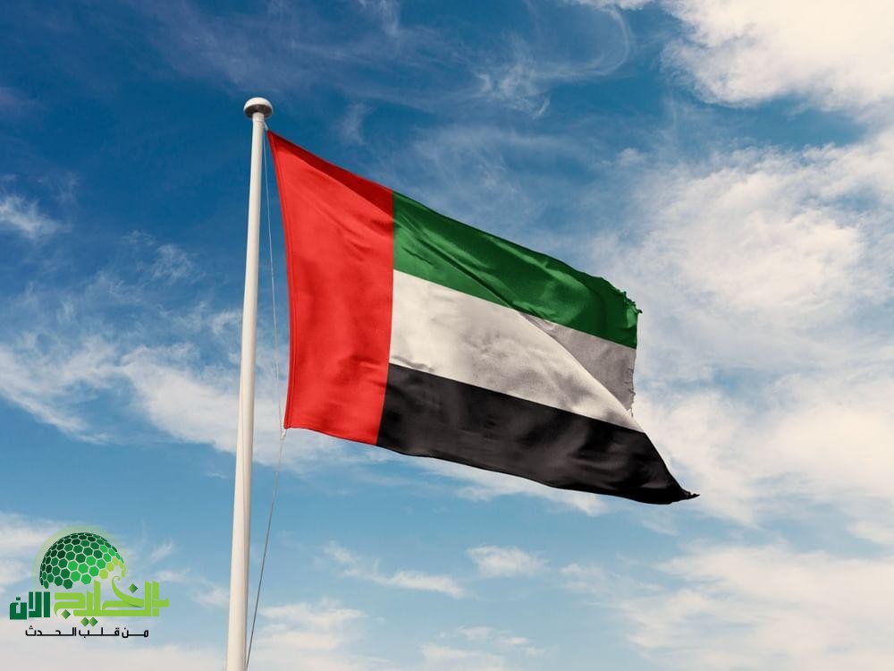 حالات استثنائية لتجديد تصاريح العمل في القطاع الخاص بالإمارات - دليل شامل