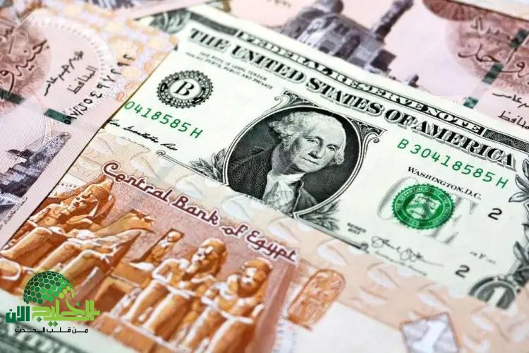 سعر الدولار في مصر اليوم الجمعة 9 مايو 2025 استقرار نسبي رغم الترقب
