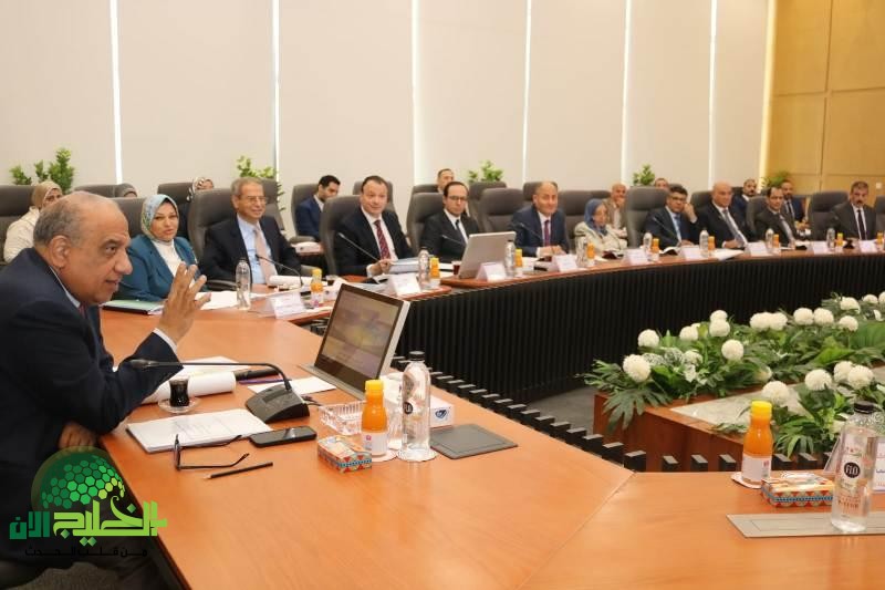 إعادة هيكلة نقل الكهرباء في مصر .. خطوة نحو مستقبل طاقة مستدام