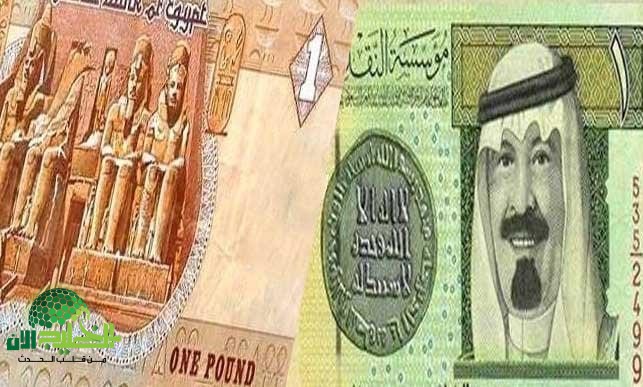 استقرار مفاجئ لسعر الريال السعودي أمام الجنيه المصري.. تحليل شامل وتوقعات
