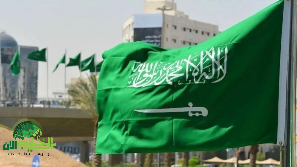 السعودية تطلق حزمة مزايا استثنائية لمواليد المقيمين.. خطوة نحو الاندماج المجتمعي