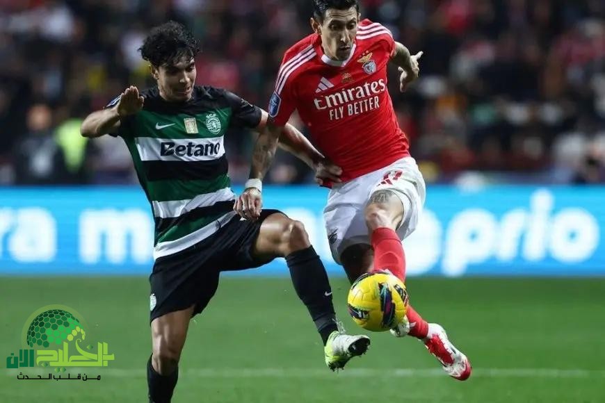 بث مباشر لمباراة بنفيكا وسبورتينج لشبونة في الدوري البرتغالي 2025