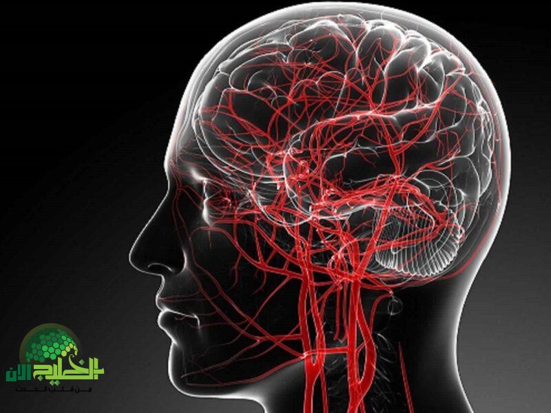 تنشيط الدماغ وانعاش الذاكرة.. دليل علمي وعملي لتعزيز القدرات الذهنية