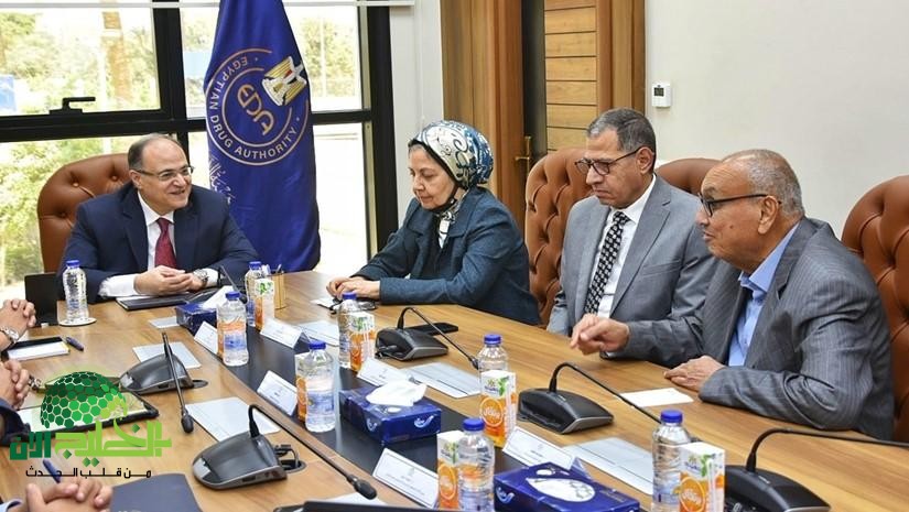 حملة ضخمة لسحب الأدوية منتهية الصلاحية في مصر .. خطوات عملية لحماية صحة المواطنين(1)