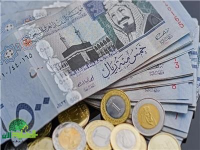 سعر الريال السعودي اليوم.. استقرار ملحوظ رغم توقعات الاقتراب من 14 جنيهًا