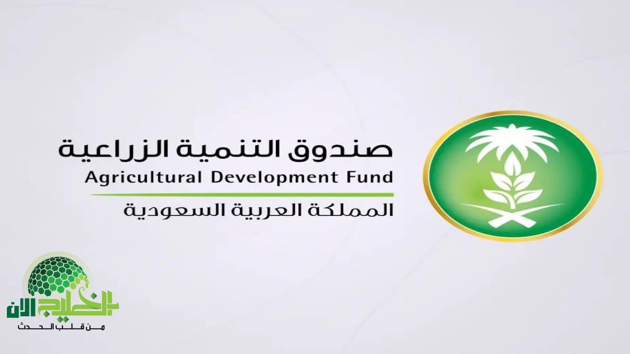 فرص توظيف جديدة في صندوق التنمية الزراعية .. وظائف متاحة لحملة البكالوريوس فأعلى في السعودية(1)