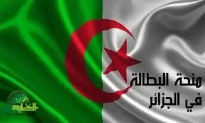 كل ما تحتاج معرفته عن تجديد منحة البطالة الجزائرية 2025