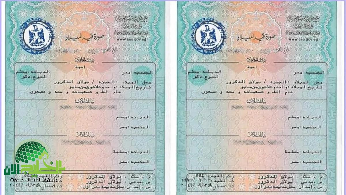 مصر تطلق شهادة الميلاد الرقمية للأسر الحاضنة.. خطوات سهلة وتوفير للوقت