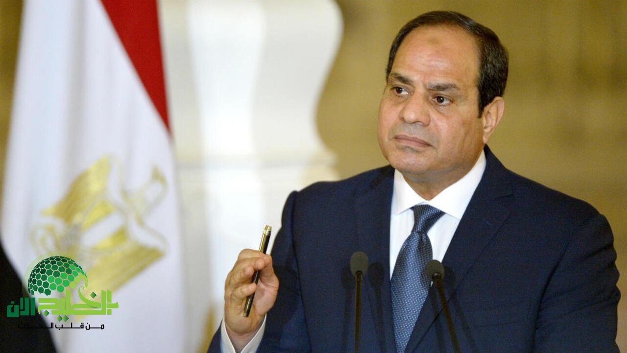 موقف مصر من تهجير الفلسطينيين وجهود وقف إطلاق النار في غزة(1)